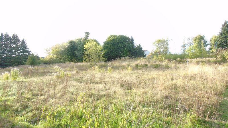 Land for sale/ Terrain a vendre