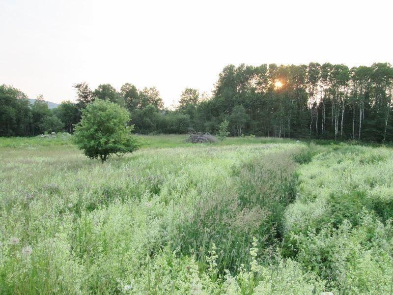 Cleared Lot Complete With Well And Septic