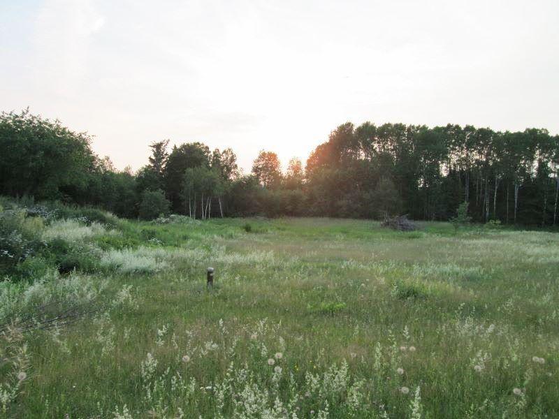 Cleared Lot Complete With Well And Septic