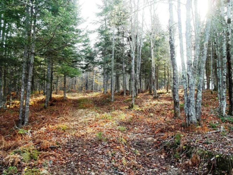 VARIOUS ACREAGES AVAILABLE IN MIDLAND, DISCOVERY LANE