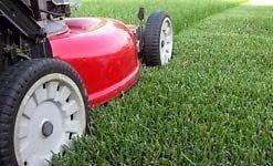 Lawn Cutting Great Rates - St. Boniface & Surrounding