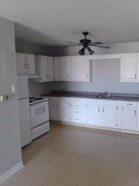 Looking for new roommate