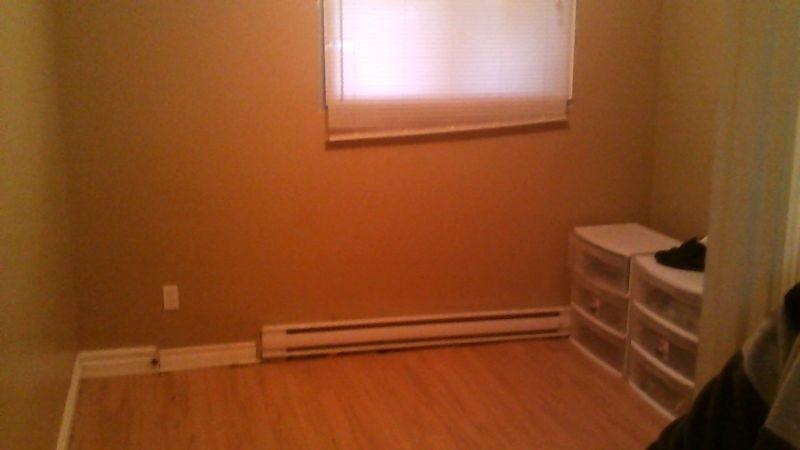 420 friendly room for rent, close to village mall 400 per month