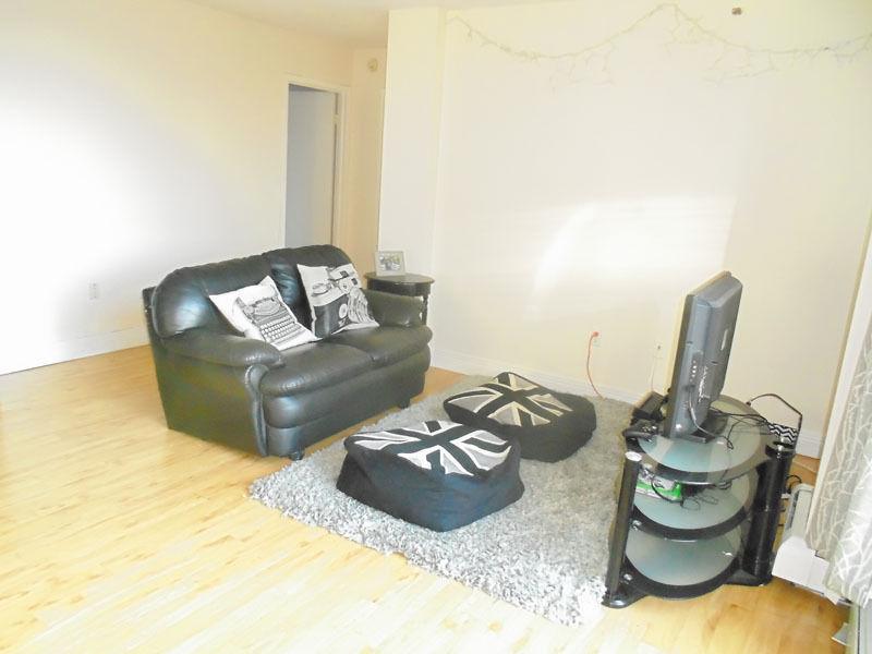 Spacious and Bright 1 bedroom in South end !