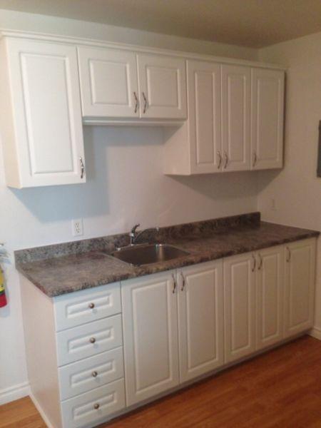 Newly renovated One Bedroom in