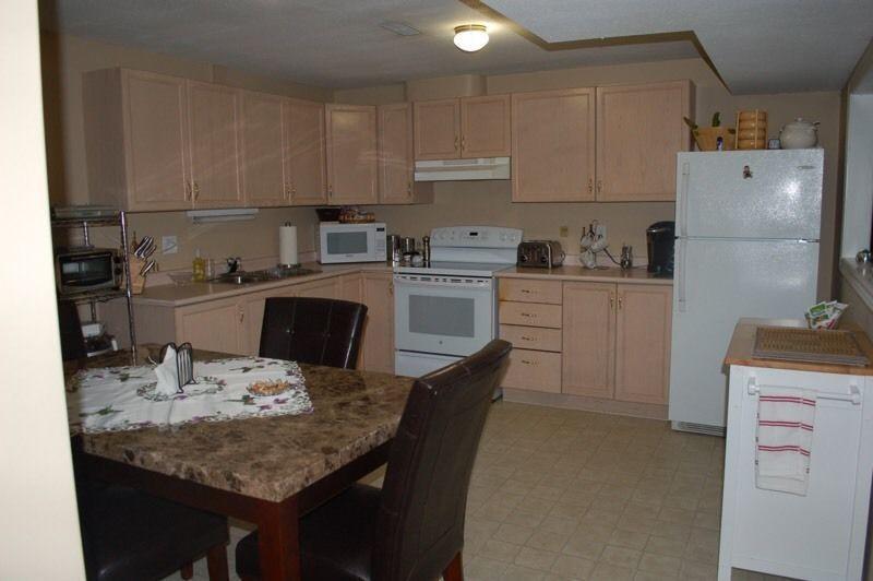 Large, bright basement apartment for rent