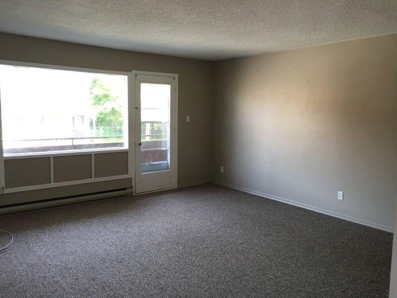 Large one bedroom apartment