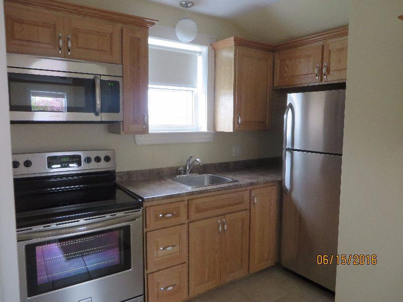 Fully Renovated 2 bedroom apartment includes washer/dryer