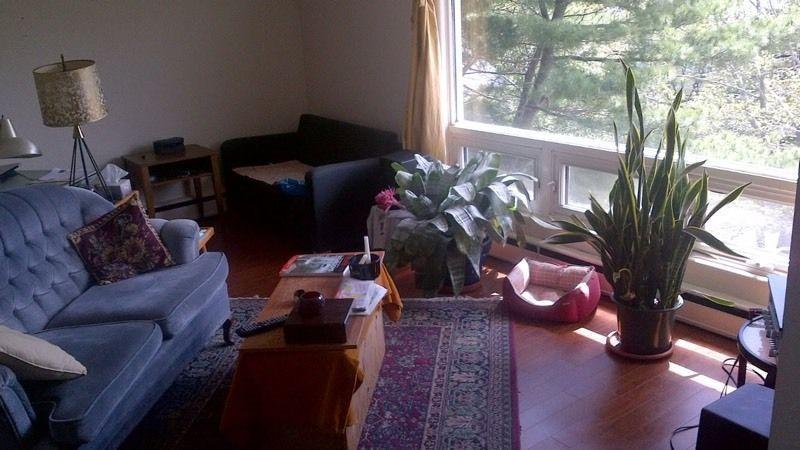 2 Bedroom For Rent By Armdale Rotary July 1st