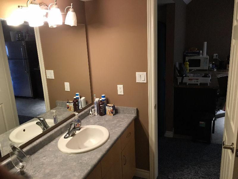 Bachelor Basement Apartment in southend  Available Jul 1st