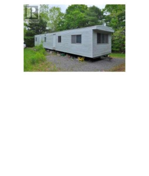 Large trailer in the woods of Elmwood! Nice fixer upper!