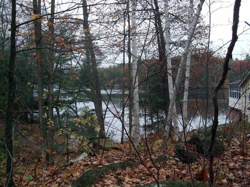 Waterfront building lot Severn River