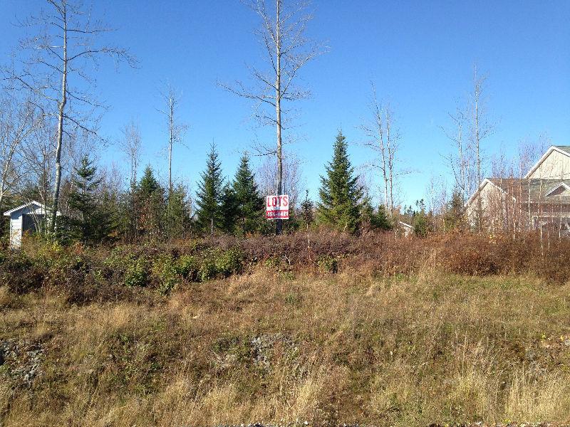 Huge Serviced lot for sale 80x357 in lantz. 12 min. to Airport