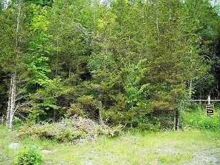 Beautiful 3.2 Acre Treed lot just North of