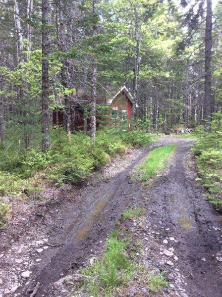 100 Acres with Hunting Camp