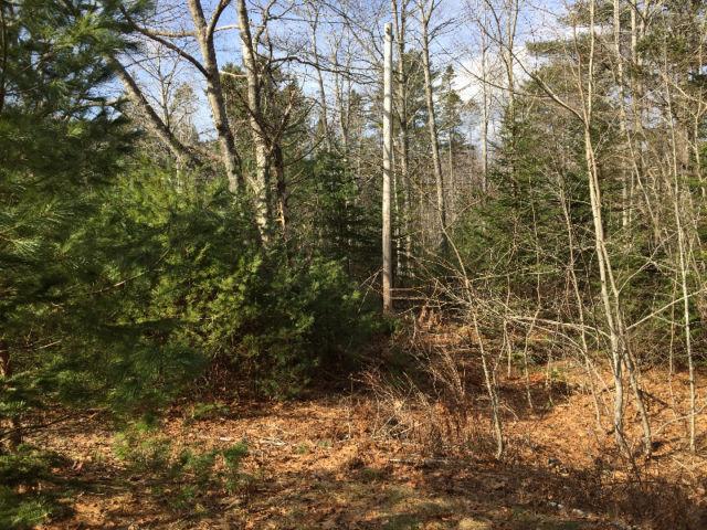 13 ACRES NEXT TO FAMOUS OAK ISLAND! LOTS OF ROAD FRONTAGE