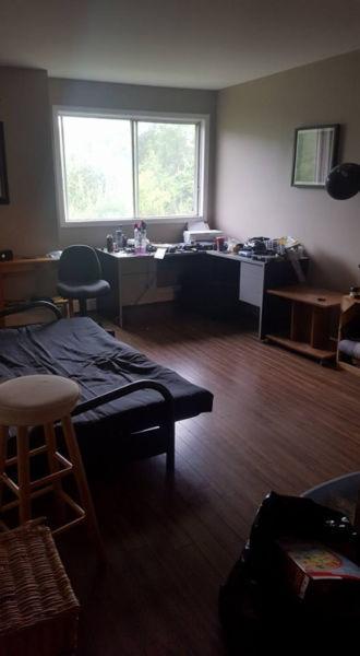 Looking for two mature roommates (any gender)