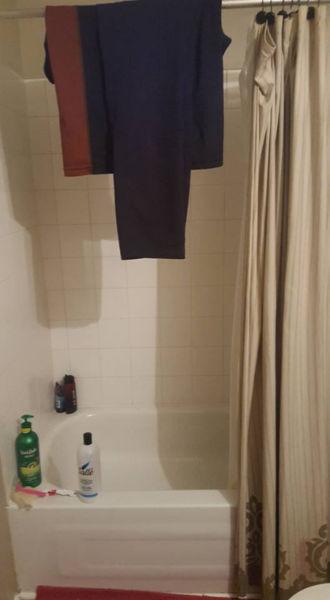 Looking for two mature roommates (any gender)