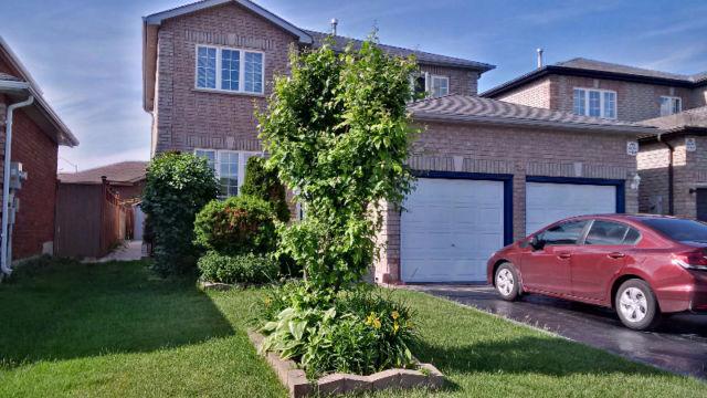 ROOM Available, July 1, 2016 South End of