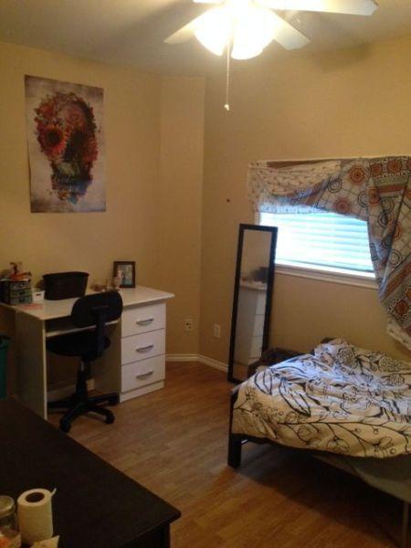 Clean & bright - single bedroom close to Laurier