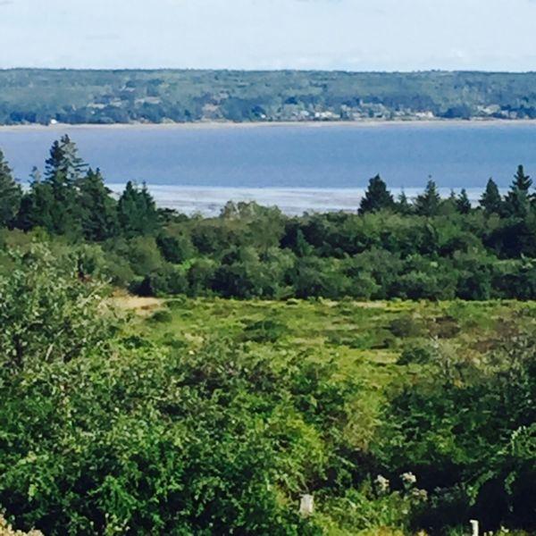Short term Vacation rental - Digby Neck