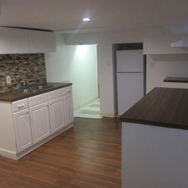 $875 One Bedroom Basement Apartment For Rent