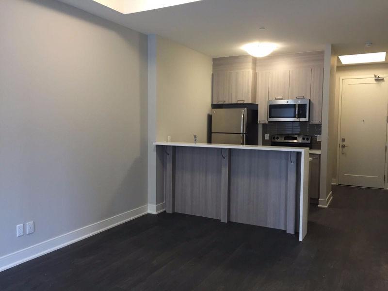 Large 1 Bedroom - 150 Main St. West - Downtown
