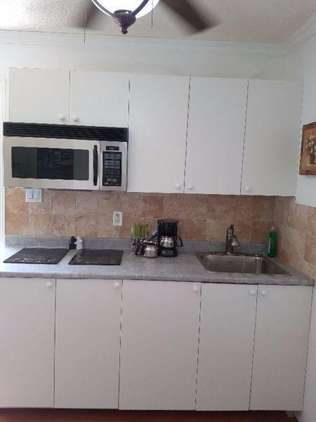 New& Bright 1BDRM Apart- Fully Furnished- All Utilities Included
