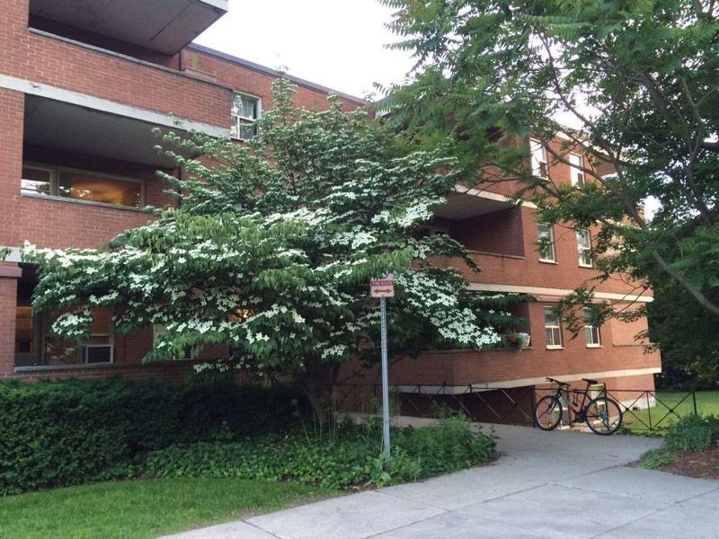 ATTENTION UWO STUDENTS! 1-bed in Old North