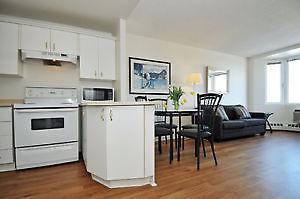 1 Bedroom Apartment - Downtown-Available July 1st