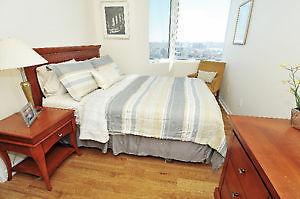 Fully Furnished 1 Bedroom Suite - Downtown, Utilities Included!
