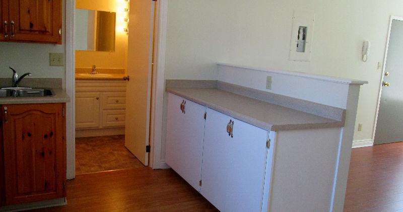 Huge 1 Bedroom Available July 1