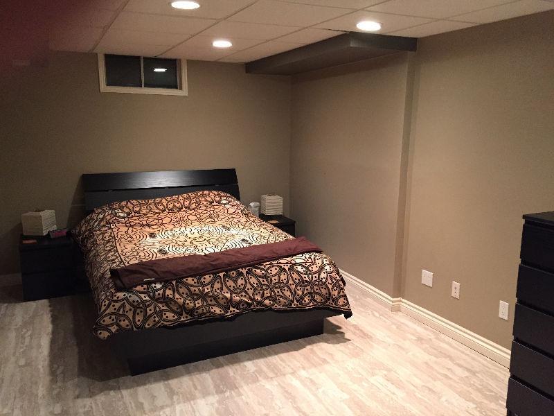 Large and clean basement apartment for rent