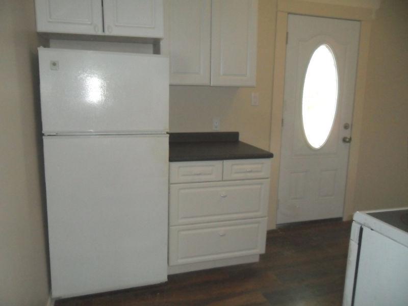 Large 2-bdrm.Apt.in completely renovated Building
