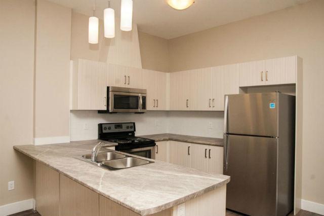 Two Bedroom Luxury Rental Downtown ! New Build! July 1st