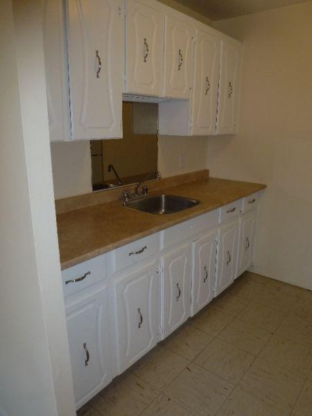 2 Bedroom Apt. - BRIGHT, SPACIOUS, INCLUSIVE!