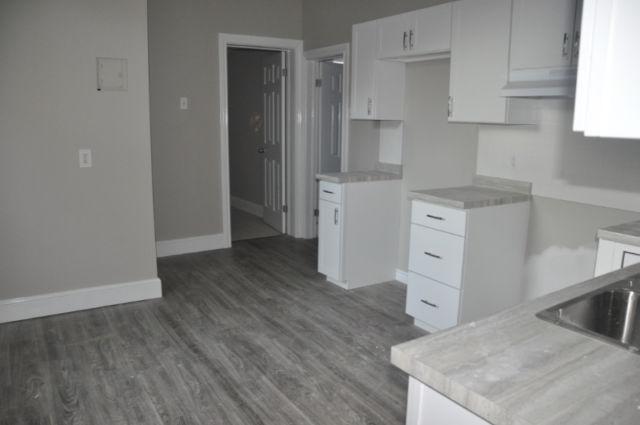 Downtown - Two bedroom in four unit - Fully renovated