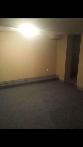 Wortley Old south 2 bedroom basement on wharncliffe Rd s