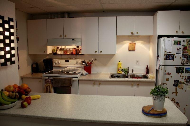 All inclusive 2 bedroom + den basement apt close to downtown