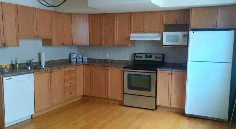 Sandy hill huge 2 bdrm! Walk to  university!