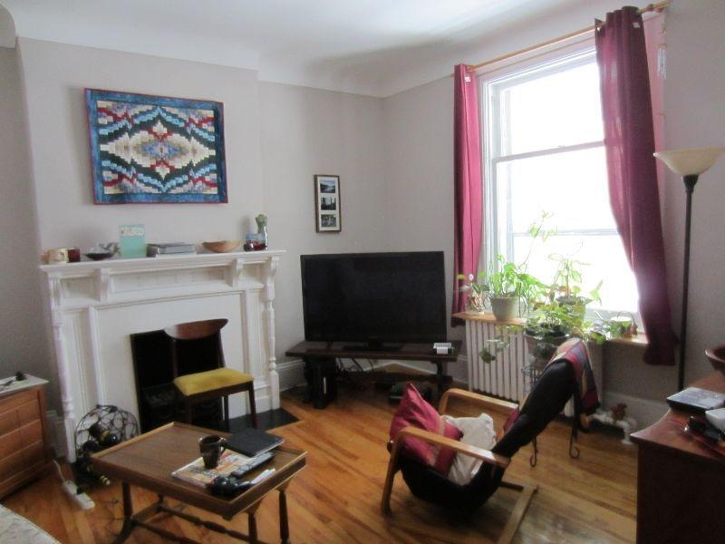 SANDY HILL-PROFESSIONAL-GRAD.STUDENT-2 BED.APT-quiet,clean,nice