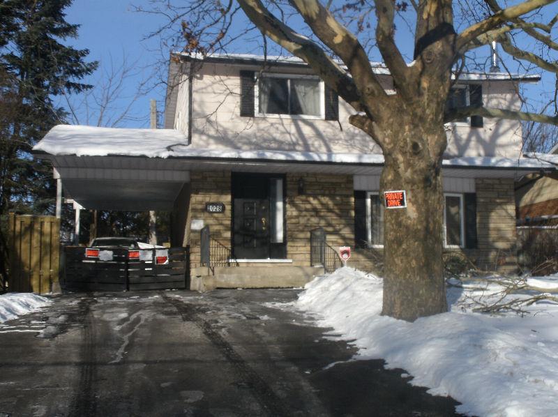 Renovated BMST for Rent