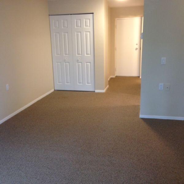 In The Heart of Downtown  - fully renovated