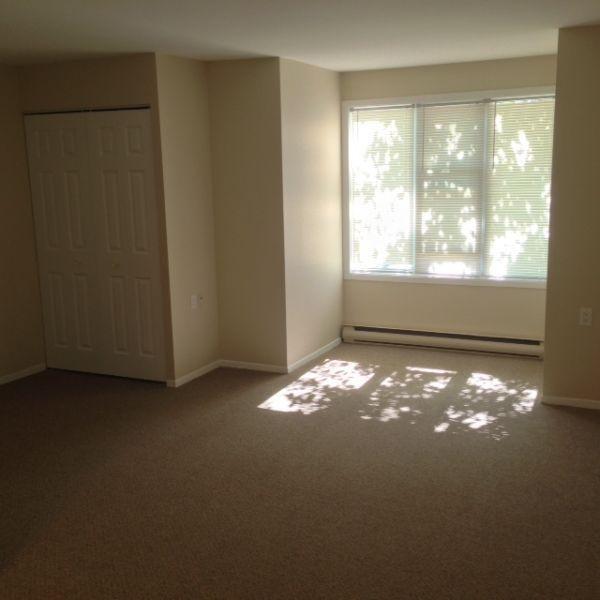 In The Heart of Downtown  - fully renovated