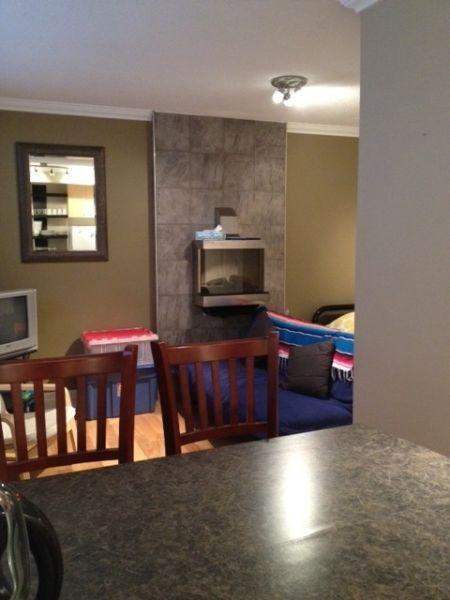 CENTRETOWN - RENOVATED BACHELOR - AVAILABLE AUGUST 729 Cooper