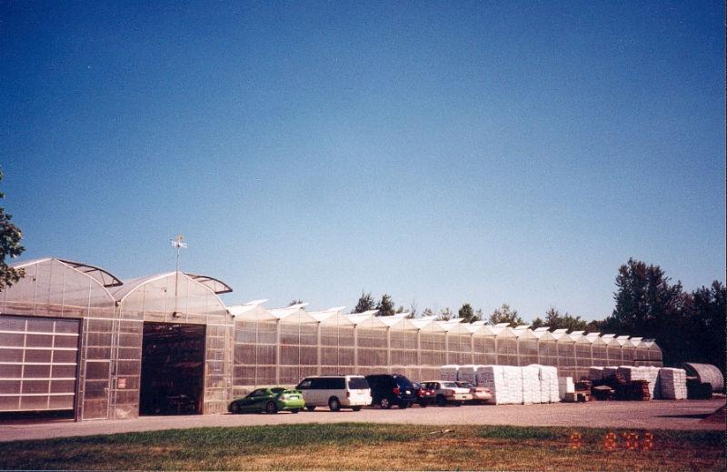 Modern Family Run Flower Greenhouse near Newmarket