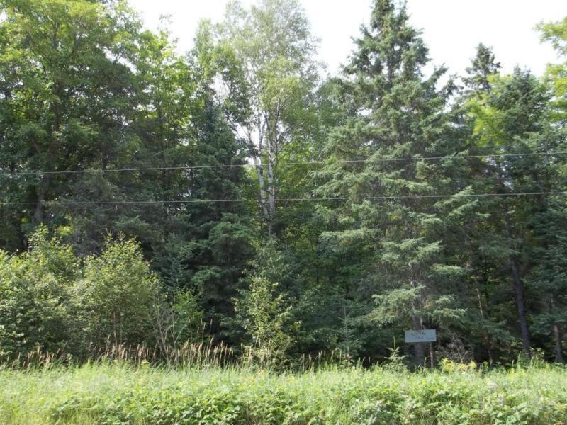 2 acre Hardwood Lot - Alsace Road