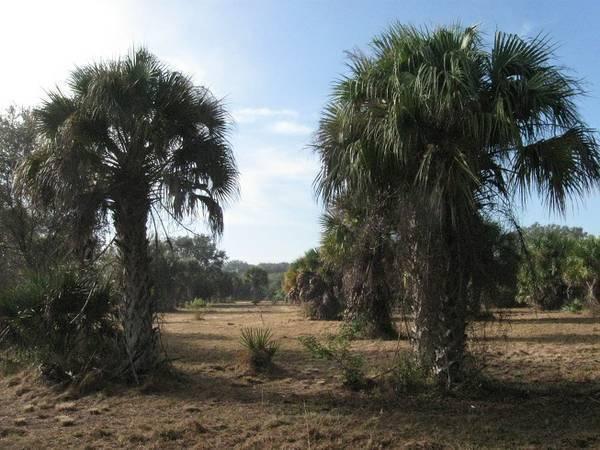 4 Acres close to Fort Myers, Florida -> build a Country Estate !