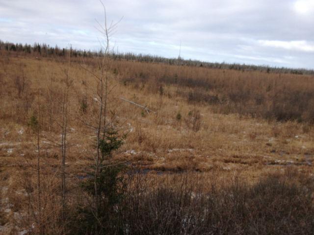 HUNT CAMP PROPERTY, ACREAGE, LAND, MOOSE & DEER