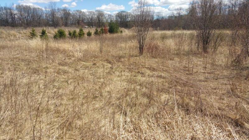LAND FOR SALE ON A PRIME LOCATION: GOLDEN OPPORTUNITY4 INVSTRS